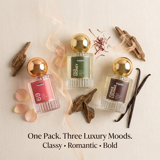Old Money | 69 | Cigar Lounge (Pack of 3)