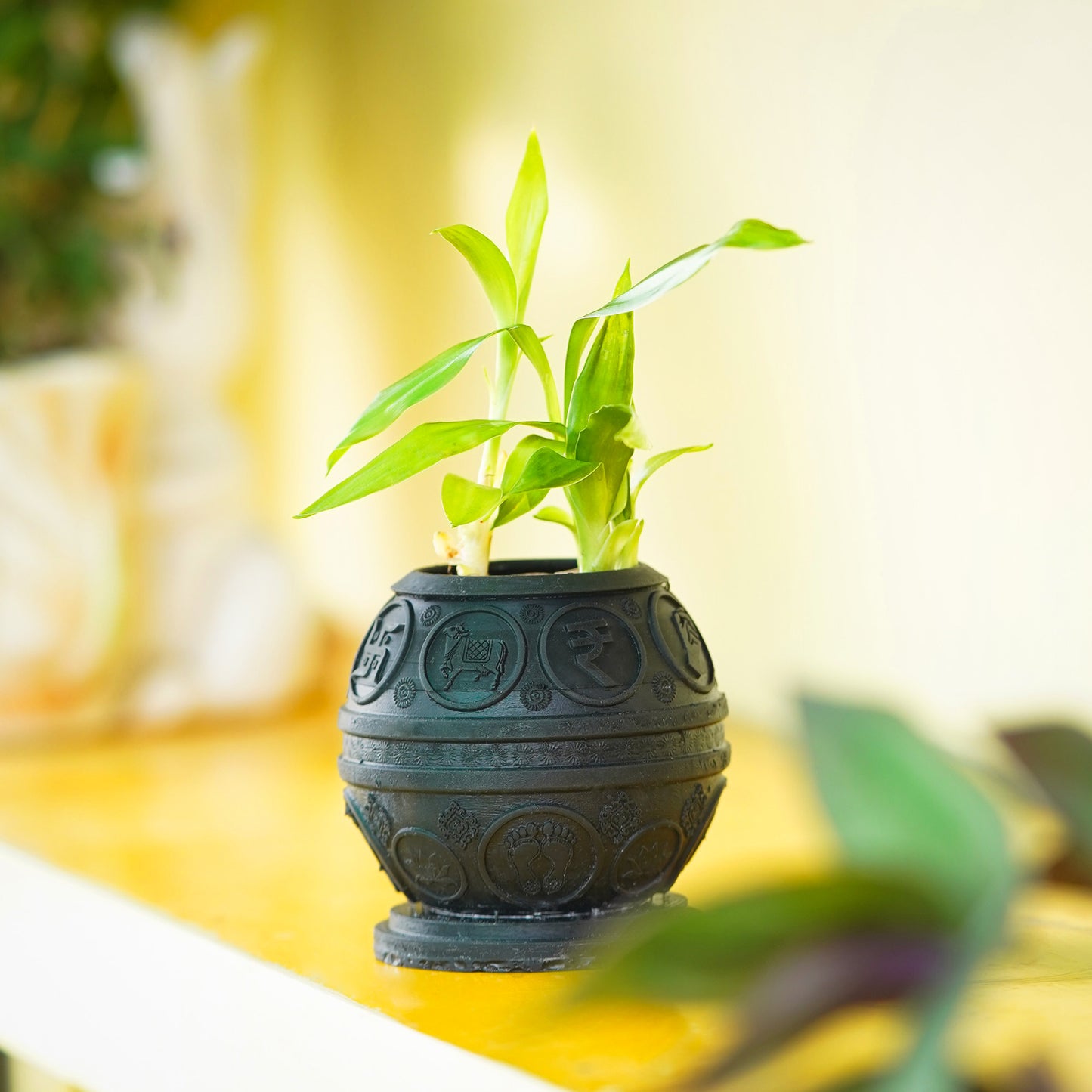 Money Pyrite Planter