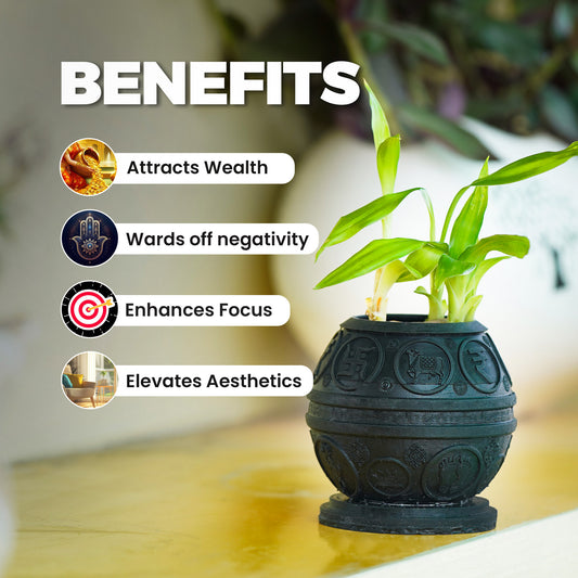 Money Pyrite Planter