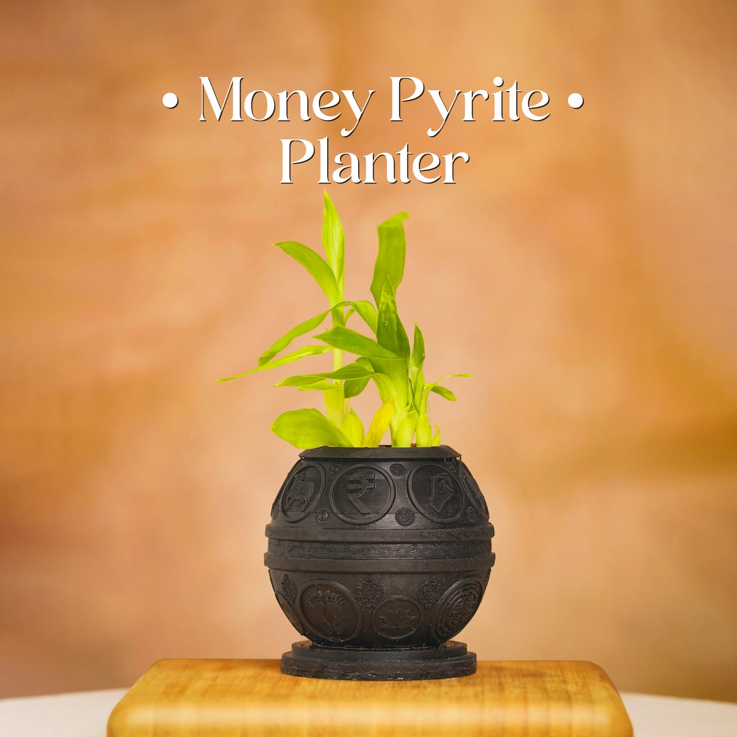 Money Pyrite Planter
