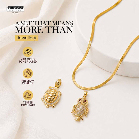 Turtle + Owl : Smart Success Combo