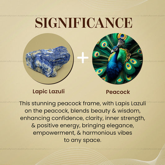 Lapiz Peacock By Studd Muffyn