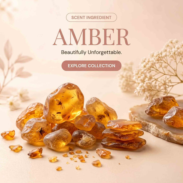 Ambery / Warm