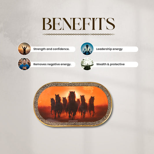 7 Black Horses Pyrite Plate [Capsule Frame]