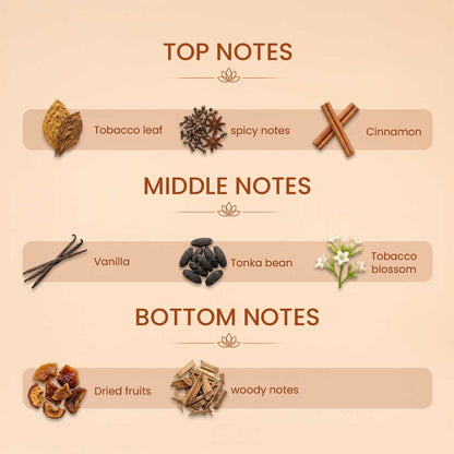 Chateaurnior | Oud Cinnamon EDP 30ml