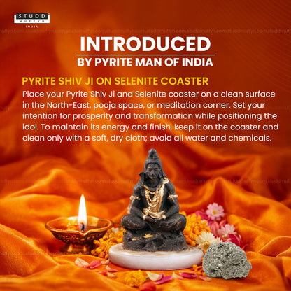 Pyrite Shiv Ji on Selenite Coaster I Miniature Series