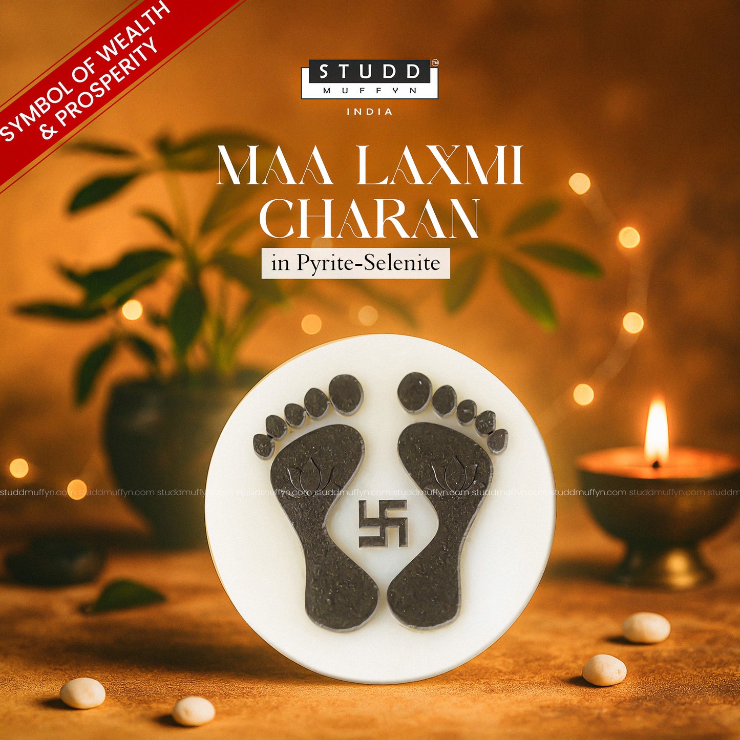 Maa Laxmi Charan in Pyrite-Selenite