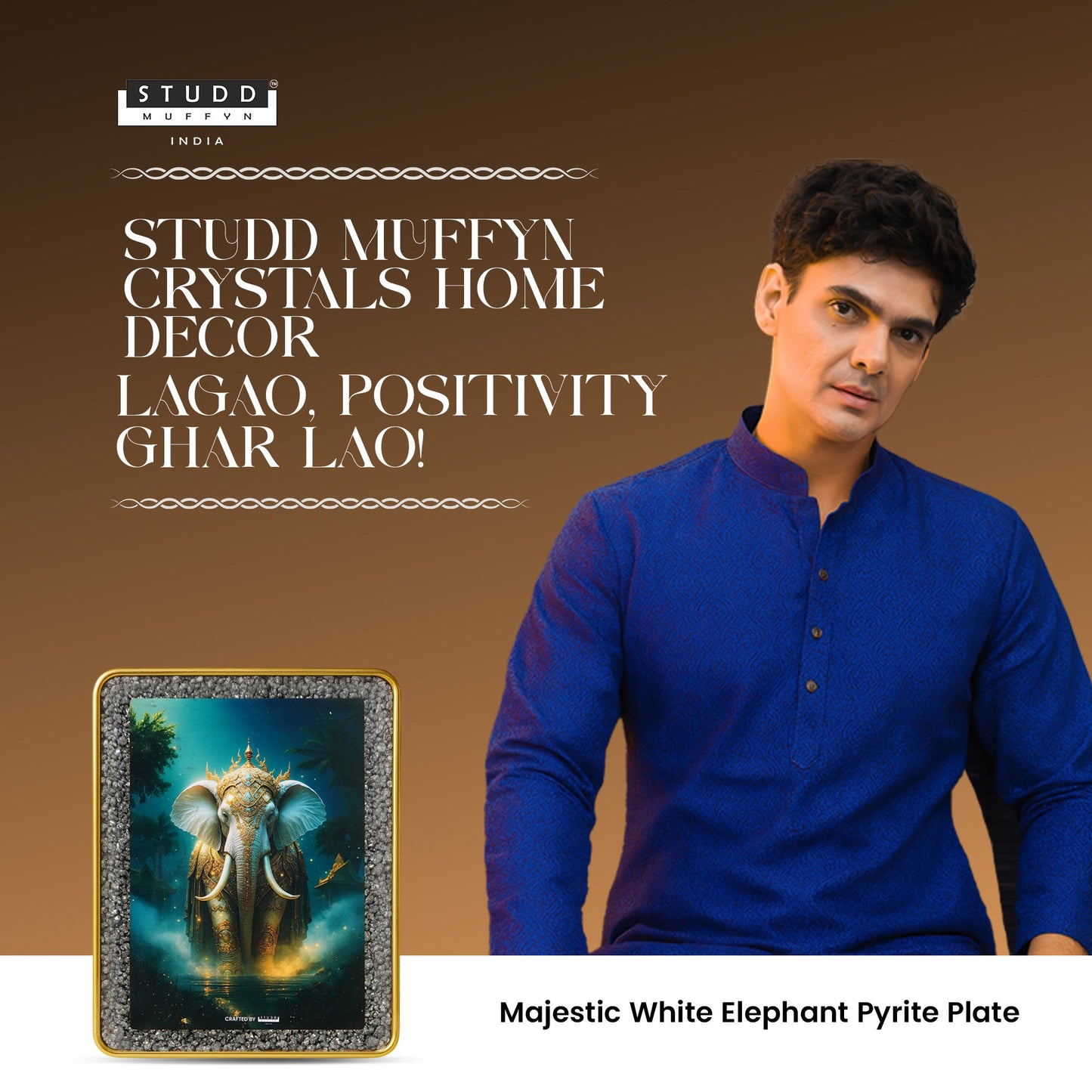 Majestic White Elephant Pyrite Plate [ Rectangle Shape ]