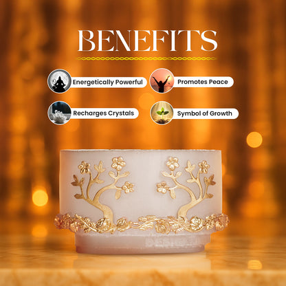 Studd Muffyn Money Bowl