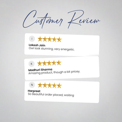 Moonlit Pyrite Owl [Rectangle Plate]