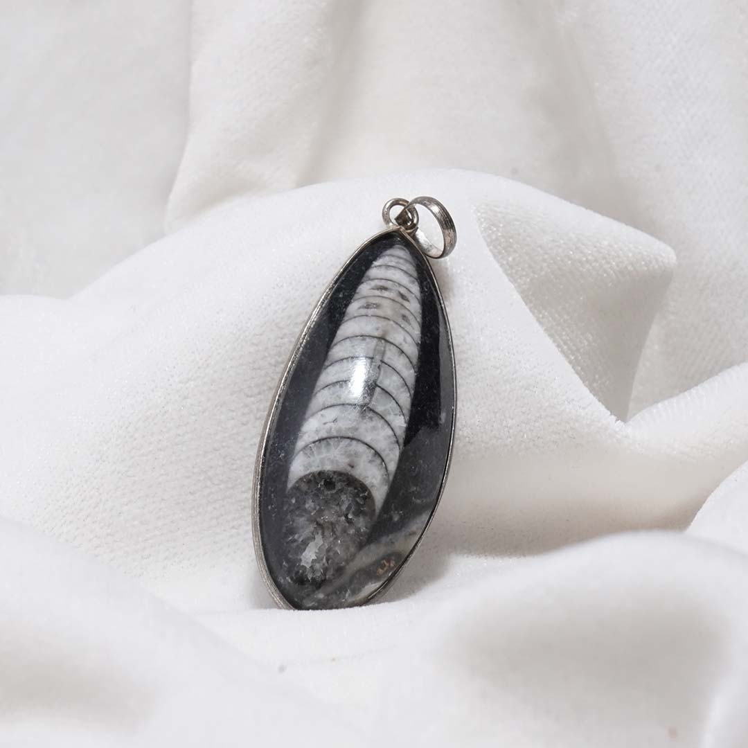 All-Natural Orthoceras Kuber Pendant