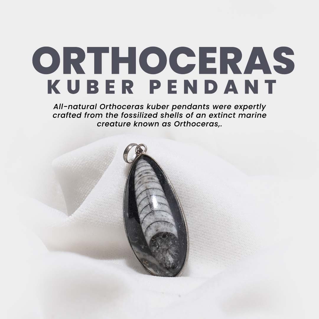 All-Natural Orthoceras Kuber Pendant