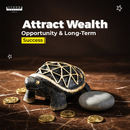 Pyrite Turtle