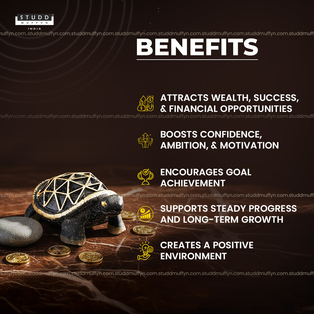 Pyrite Turtle