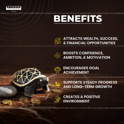 Pyrite Turtle