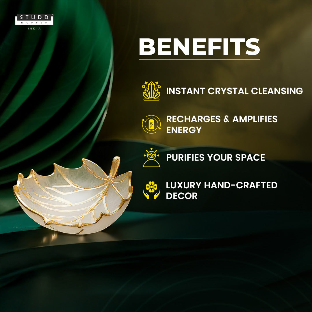 Selenite Crystal Recharging Leaf