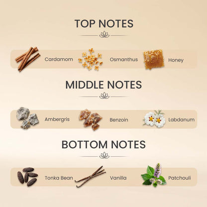 Serotonin EDP Perfume 10ml