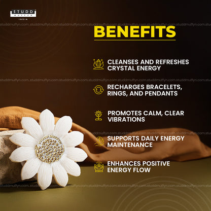Sunflower Radiance Selenite Coaster