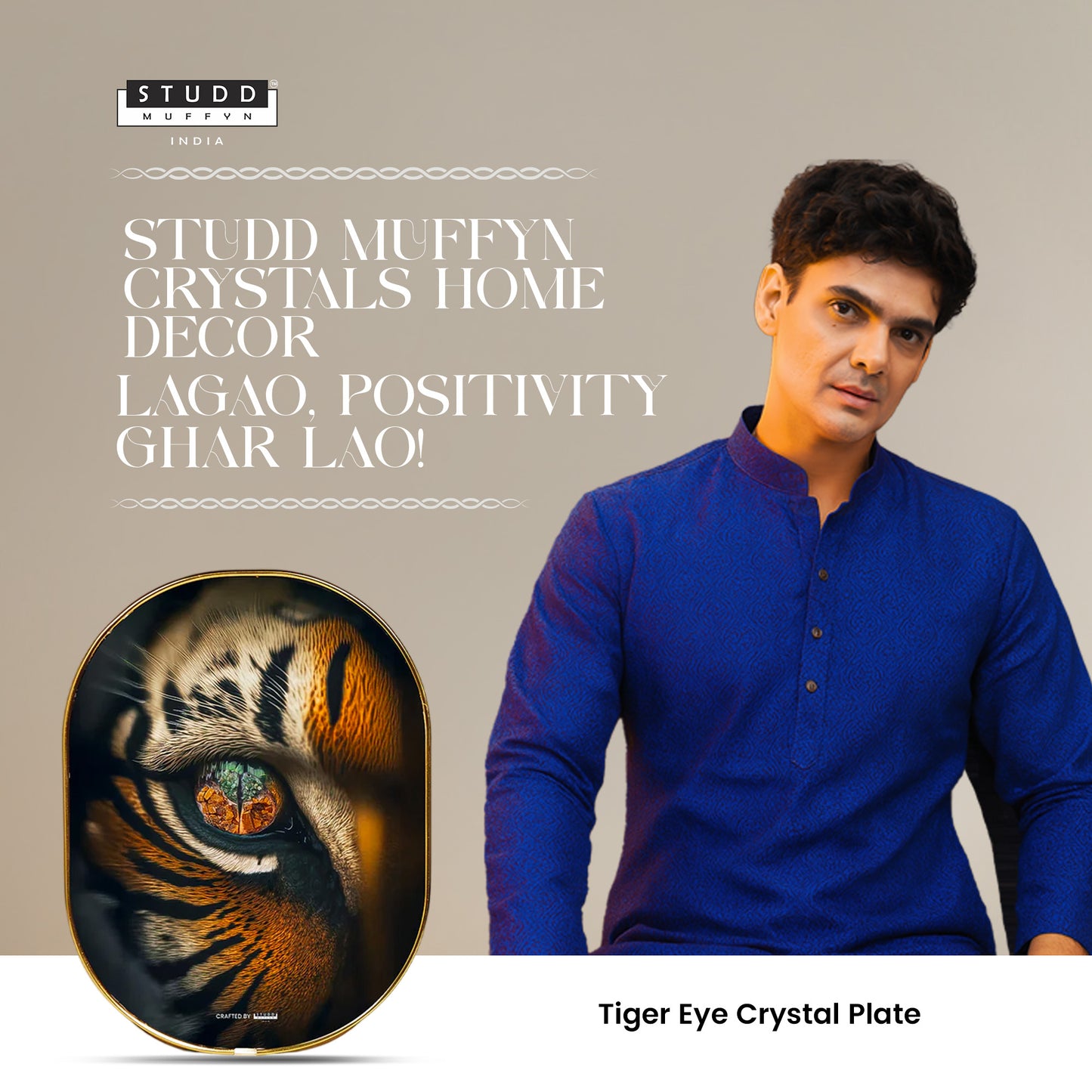 Tiger Eye Plate [Capsule Frame]