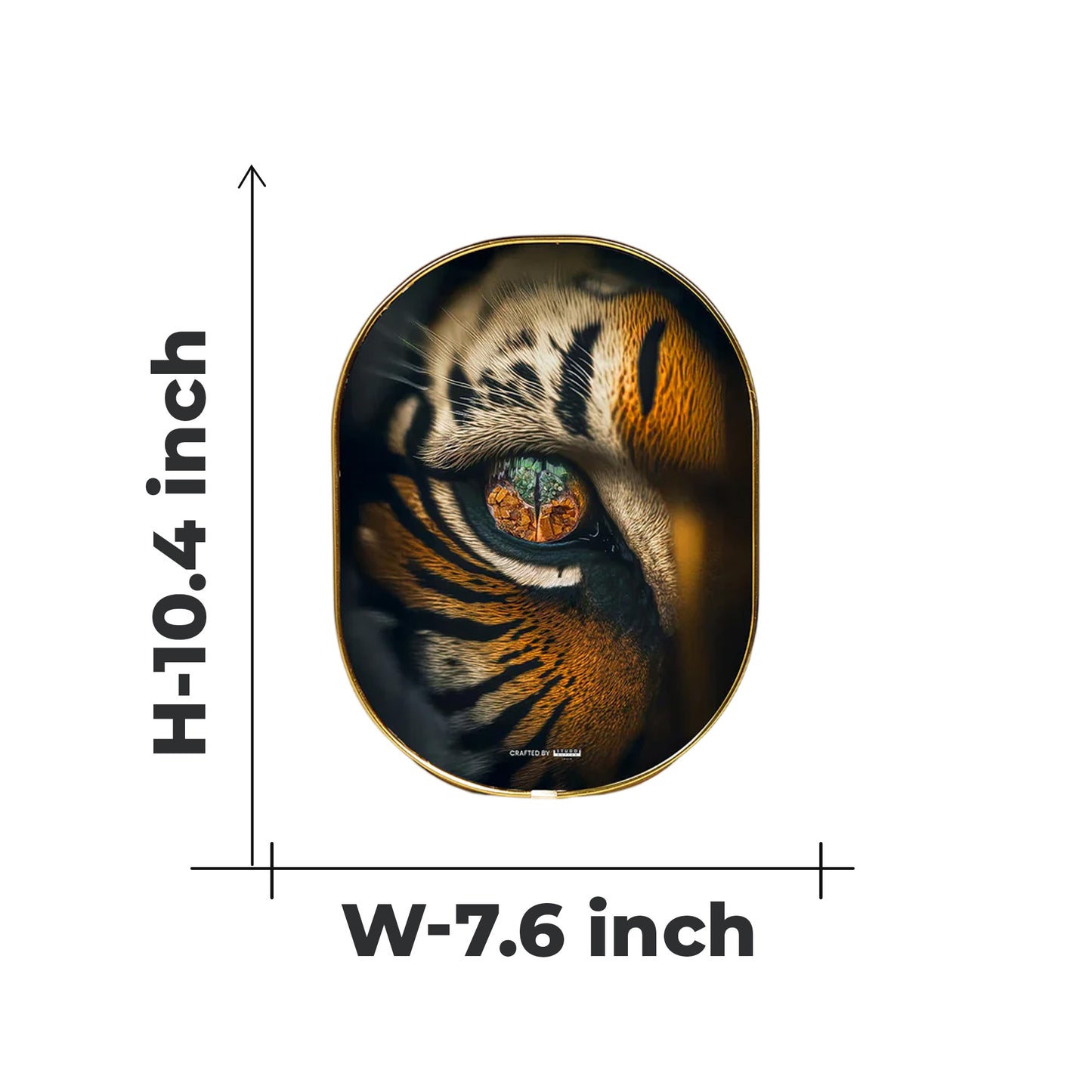 Tiger Eye Plate [Capsule Frame]