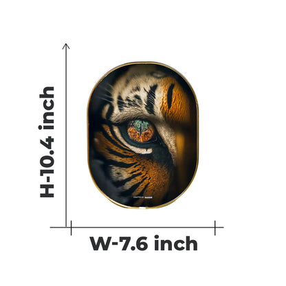 Tiger Eye Plate [Capsule Frame]