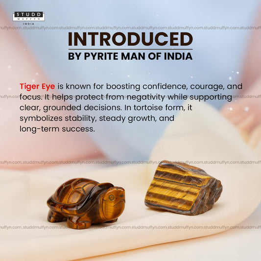 Tiger Eye Crystal Tortoise | Miniature Series