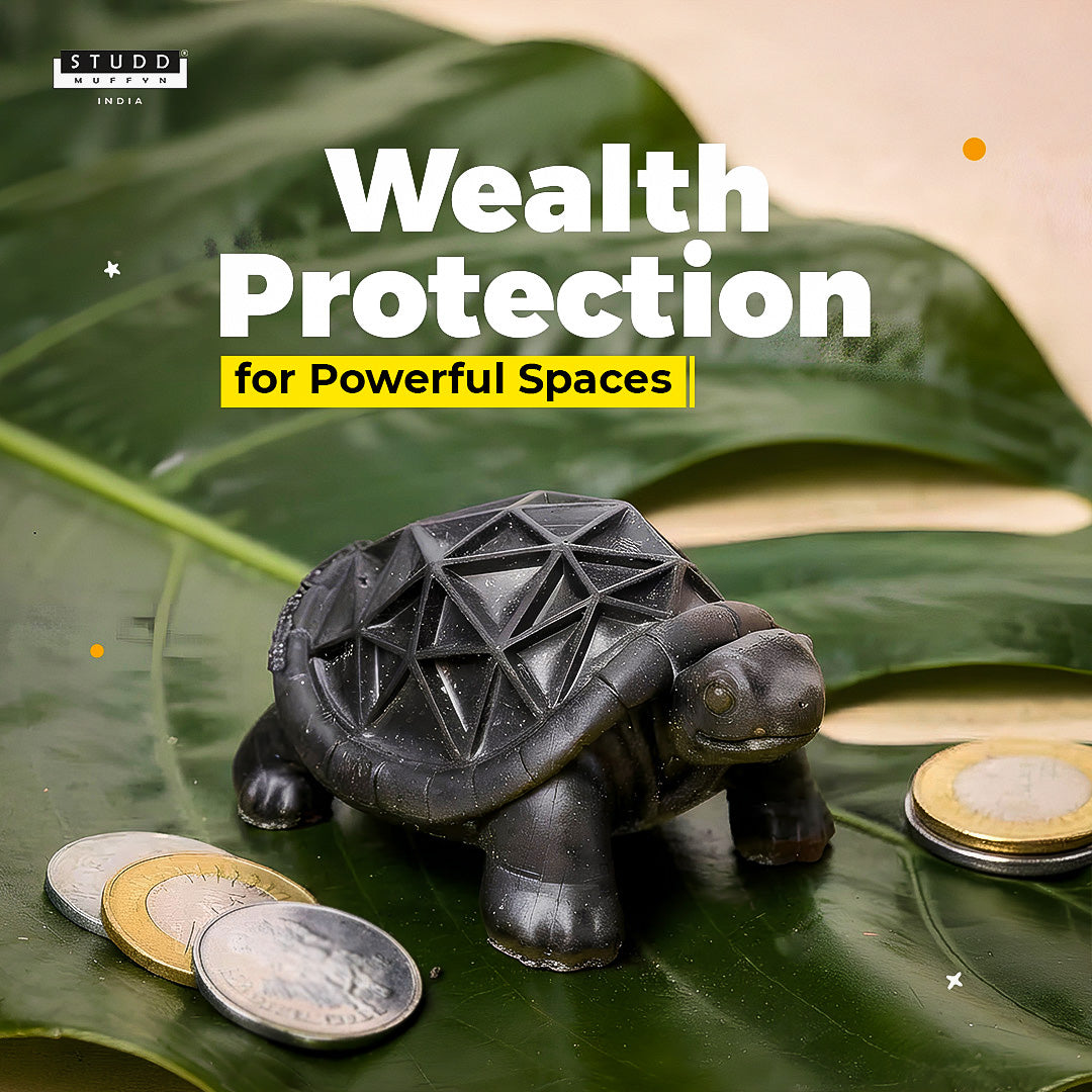 Tourmaline Tortoise For Wealth & Success