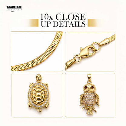 Turtle + Owl : Smart Success Combo