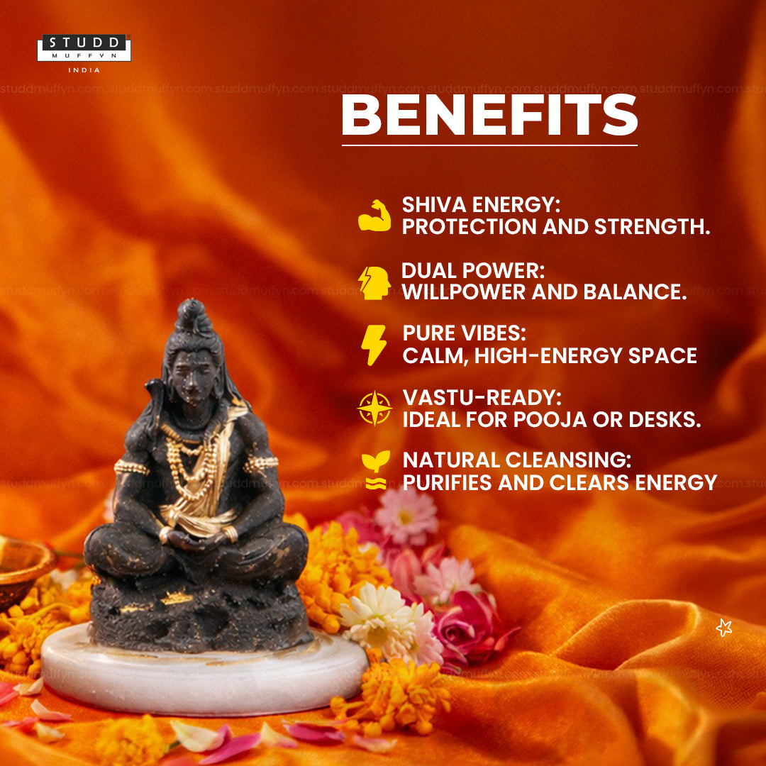 Pyrite Shiv Ji on Selenite Coaster I Miniature Series