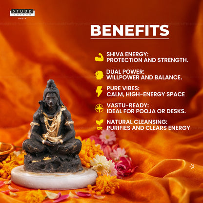 Pyrite Shiv Ji on Selenite Coaster I Miniature Series