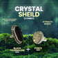 Crystal Shield (  Pyrite Geode adjustable ring to fit all sizes &  Black Tourmaline Ring )